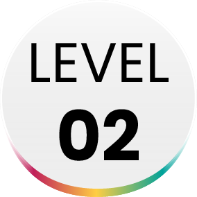 Level 02