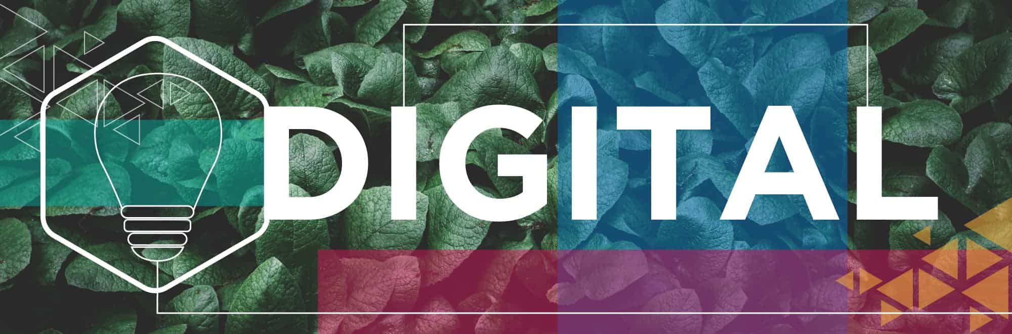 Ideation Digital | Digital Marketing Agency